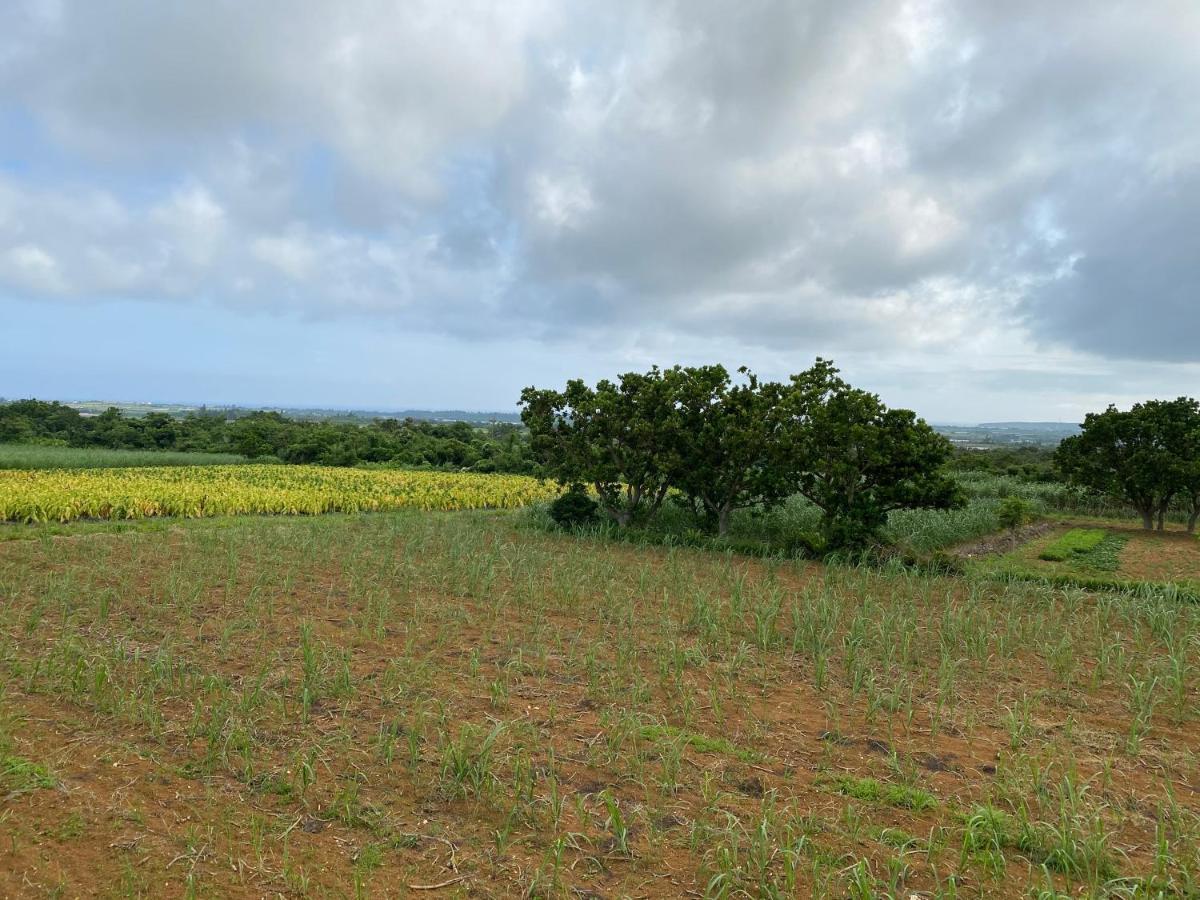 スターハウス宮古島 Miyakojima (Okinawa) Buitenkant foto